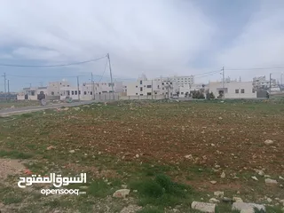  8 أرض على شارعين للبيع في جاوا نافع حي الاحسان الحنو الغربي من المالك مباشرة