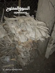  7 تشكيلة حطب للبيع