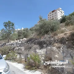  5 أرض للبيع 850 متر طابو في لوزا