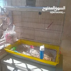  3 قفاص بحال الوكاله لتواصل الزرقاء
