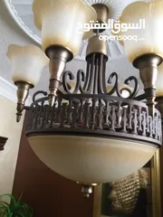  1 ثريات عظم فخمات