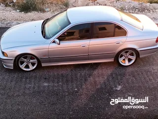  1 BMW E39الدب