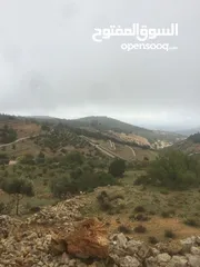  23 فرصة استثمارية! أرض زراعية مميزة بسعر مغري و بالقرب من أحراش الدولة للمزيد من المعلومات اقرأ الوصف
