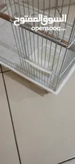  11 قفص طيور Birds cage