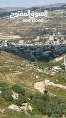  1 نمر اراضي في بيت وزن