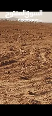  1 ارض للبيع مساحه  900 متر صالحه للبيناء في كفرنعمه