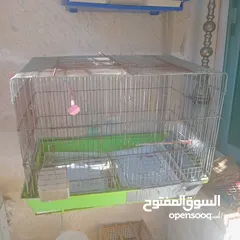  2 قفاص بحال الوكاله لتواصل الزرقاء