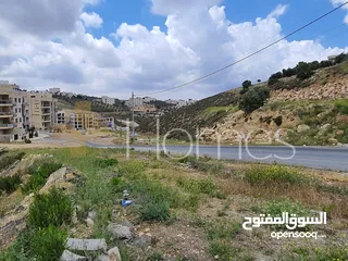  4 ارض للبيع تصلح لبناء فيلا في الدمينة بمساحة ارض 1003م