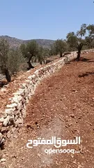  18 عمارة اراضي وبناء السناسل