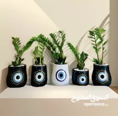  5 Handmade plant pots