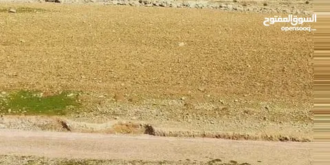  2 جريبا قرب شفابدران تقسيط نصف الثمن