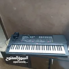  1 اورغ للبيع