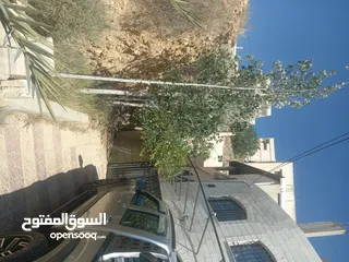  3 بيت طابق اول مع السطح للبيع من المالك مباشره ماركا الشماليه