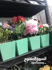  22 نثريات للبيع