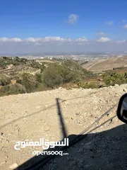  3 ابو موسى القواسمه