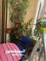  6 شقة مفروشة سوبر ديلوكس اعلان رقم (T206)