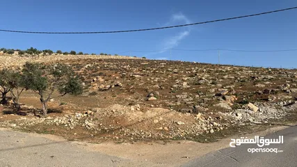  1 ارض للبيع جرش