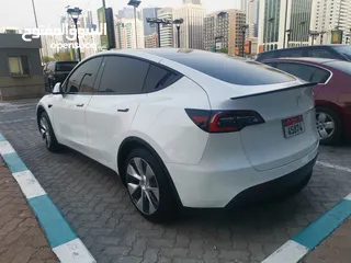  3 2021 Tesla Model Y