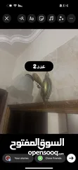  9 مجموعة ثريات بسعر مغري