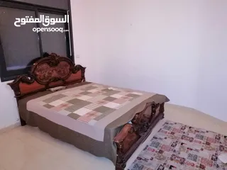  8 شقة مرتبة مفروشة للايجار