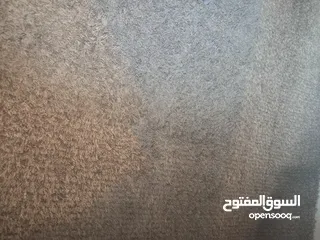  1 موكيت لون عسلي قياس 2 ب3.5