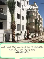  7 شجرنا انتاجنا