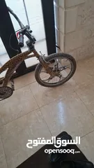  10 بسكليت اوروبي