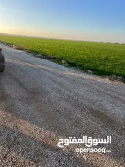  1 ارض للبيع الرمثا شرق جامعة العلوم  استثمارية