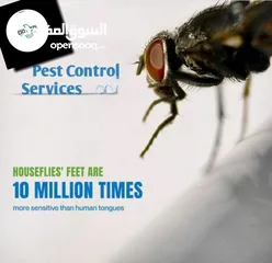  8 pest control and cleaning services