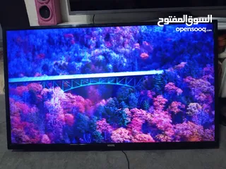  3 شاشة فيستل