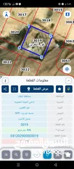  1 نمرة سكنية في الاغوار تصلح لبناء شاليه