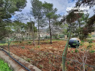  9 عمارة تجارية و سكنية  في جرش للبيع العمارة على شارعين    شارع رئيسي و شارع فرعي في منطقة حيوية