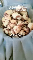  11 ليلي محمد عيسى شلالدة