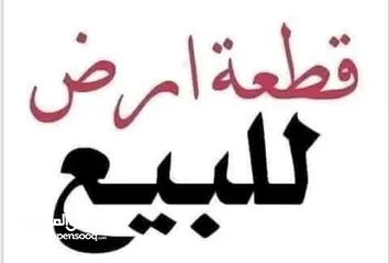  1 نصف دنم في ابوديس