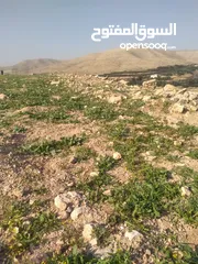  26 قطعة أرض للبيع مميزة بأطلالة مرتفعة وبسعر مغري