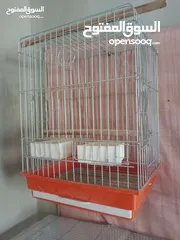  1 قفص للبيع ببغاء