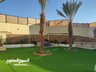  19 عشب صناعي اقل سعر بالمملكة وتحدي بسعر كثافة وثبات لون  يوجد صناعة  اردني  فيتنامي سعودي مصري امراتي