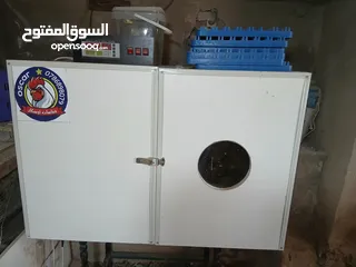  1 فقاسه اتوماتيك