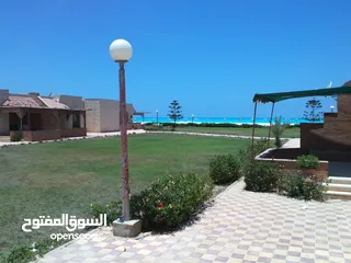  1 شاليه للبيع 90 م بحديقه ورؤيه البحر بالساحل الشمالي قريه الكروان