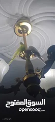  2 عصافير الحب(بادجي) جوز جاهز مع قفص كامل