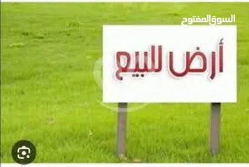  2 ارض للبيع من المالك مباشرة 600 متر او شعب الملح دير بحة