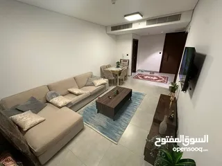  4 luxury furnished flat  with swimming pool view in muscat hills