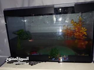  3 حوض سمك زينة بسعر حرق