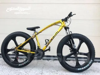 5 BEINAIQI SPORTS