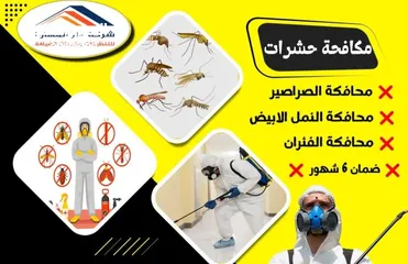  4 الشركة الدولية لمكافحة الحشرات بجميع مناطق الكويت