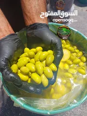  28 زيتون ومخللات جمله