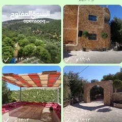  16 شاليه بسعر مغري لاستثمار  مطل ومرتفع  اطلاله وروعه من الجمال ومناظر خرافيه اقرا ا التفاصيل جيدا