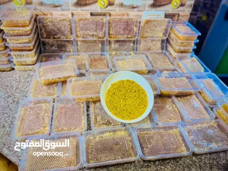  8 مطلوب طيور بدل على عسل