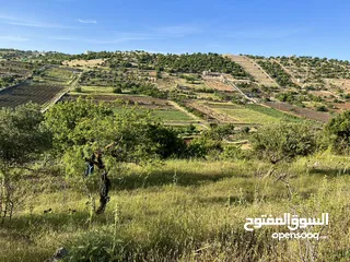  1 ارض للبيع في الأردن