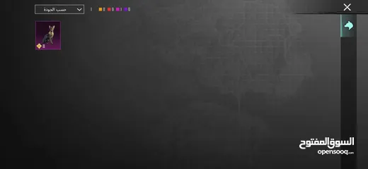  2 حساب ببجي للييع في طولكرم  للمعني فقط وجه لوجه
